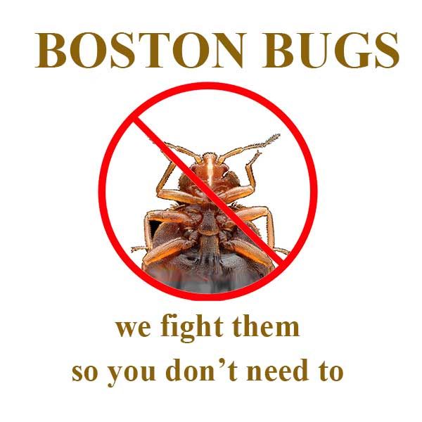 Boston Bugs