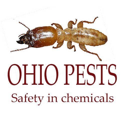 Ohio Pests