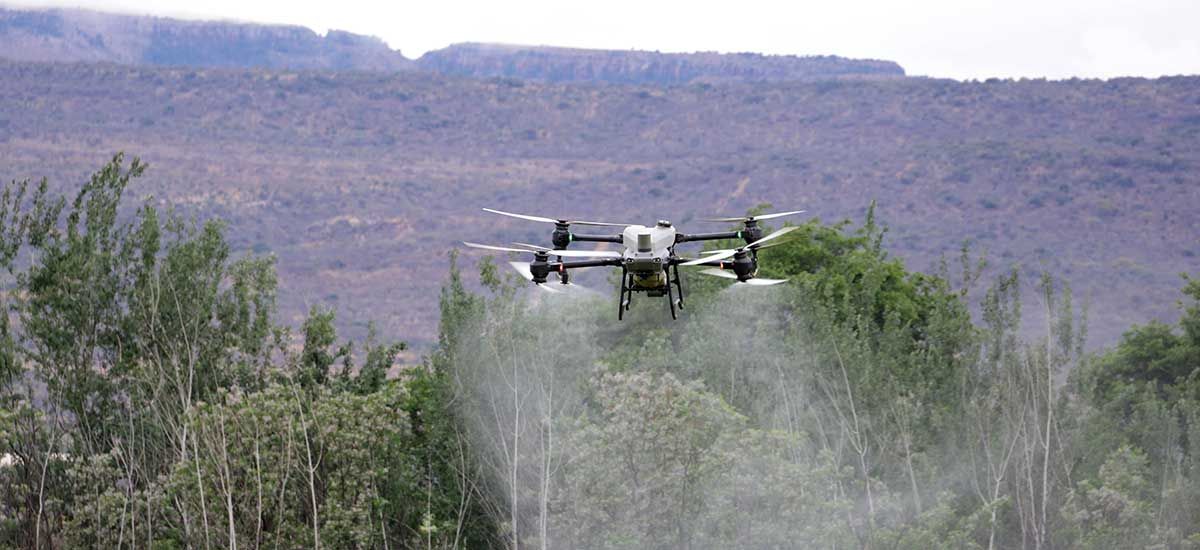 Pest control automation is already here using drones